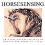 HorseSensing logo