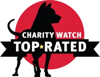 Charity Watch - A-Rated